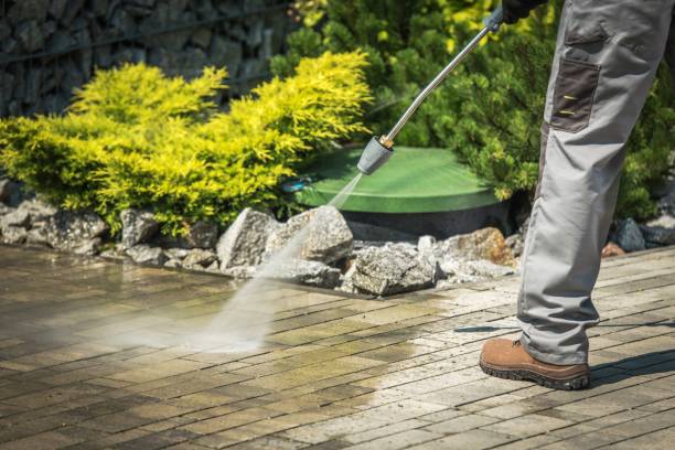 Best Soft Washing  in Fairview, OR